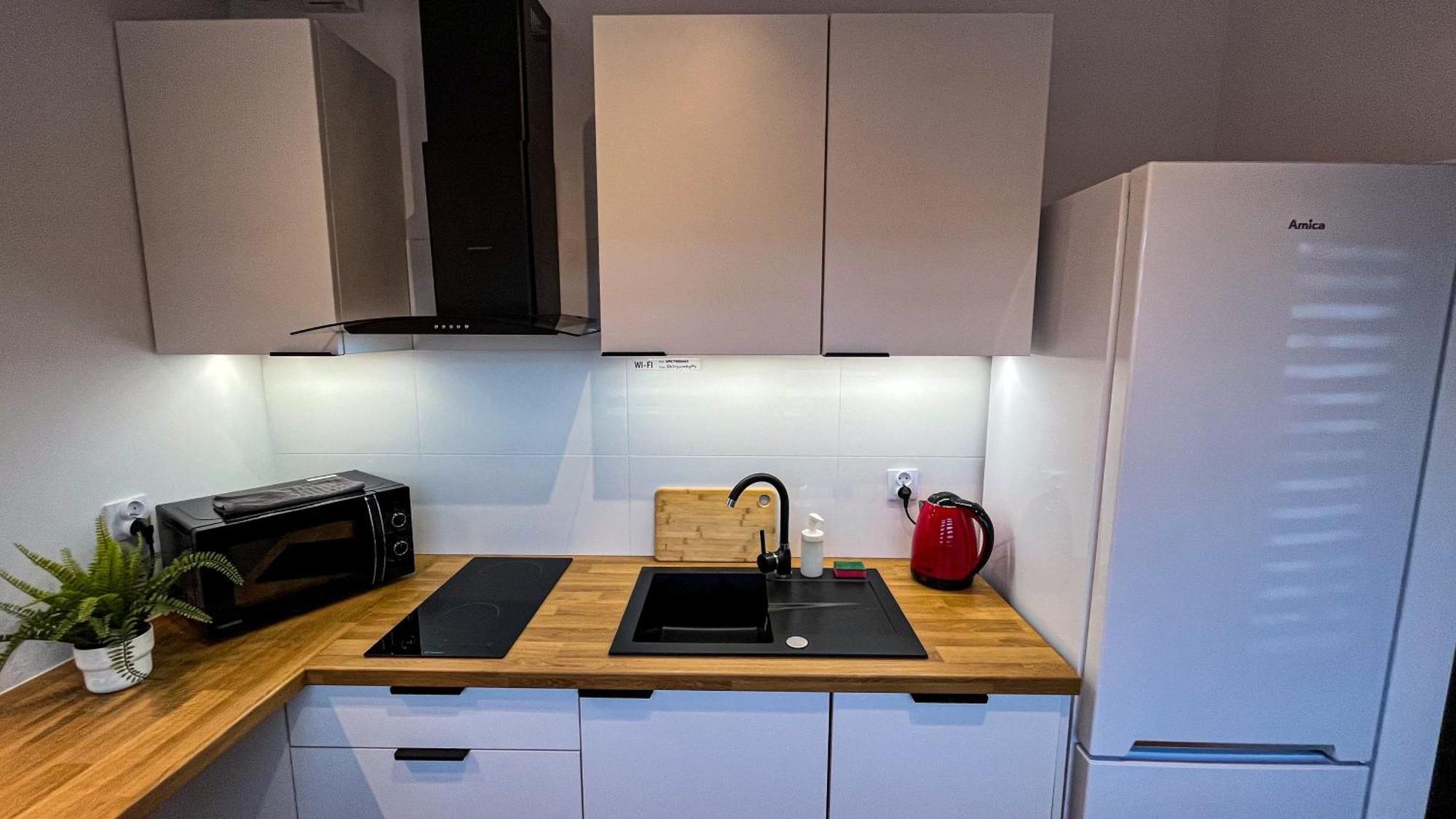 Apartament Lublin Centrum „Ice Cat” Экстерьер фото